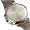 Citizen AT0400-57E Mens WR100 Titanium Watch