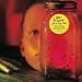 Jar of Flies