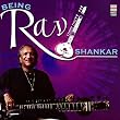 Being Ravi Shankar