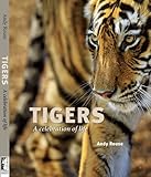 Tigers : a celebration of life
