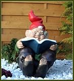 Eigenschaften   / Zwerg mit Buch,Gartenzwerg,Dekoration,Garten