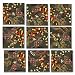 Snakes of North America Scramble Squares Puzzle