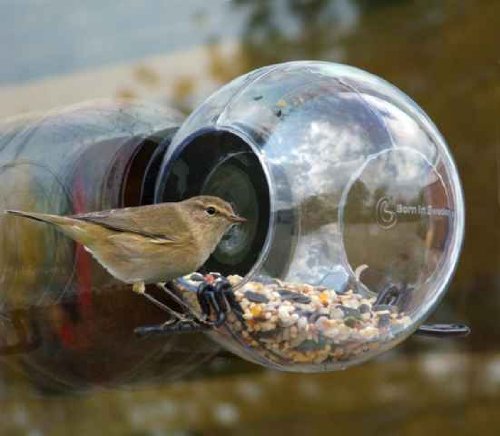 Bird Feeder