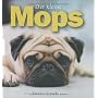 Der kleine Mops von Enver Hirsch