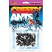 Ants Creepy