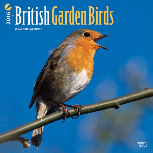 Cheapest copy of British Garden Birds 2016 Square 12x12 by Browntrout