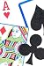 Card Symbols - 24H x 16W - Peel and Stick Wall Decal by Wallmonkeys