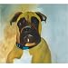 25 Pack Boxer Note Cards by Dick Larsen