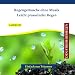 Regenger�usche ohne Musik - Leicht prasselnder Regen - Einschlafhilfe - Schlafhilfe - Tinnitus - Naturger�usche zur Entspannung - Naturger�usche zum Einschlafen