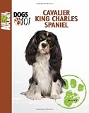 Cavalier King Charles Spaniel (Animal Planet Dogs 101)
