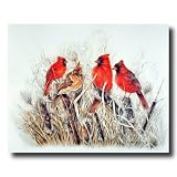 Red Birds Cardinals In Grass Animal Wildlife Picture Art Print