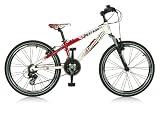 Shavanno Dirt-vtt adolescent-Fourche : télescopique STAX -cadre 24 aluminium
