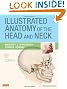 ILLUS ANATOMY OF THE HEAD & NECK 4