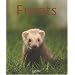 Furets