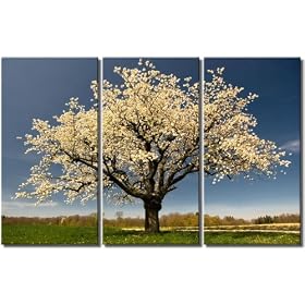Framed Huge 3 Panel Cherry Blossom Sakura Giclee Canvas Print