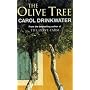 The Olive Tree: A Personal Journey Through Mediterranean Olive Groves