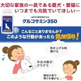 �O���R�T�~��350�@�����p500��