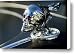 Skull Rat Rod Hood Ornament Canvas Print / Canvas Art - Artist Jill Reger Skull Rat Rod Hood Ornament Canvas Print / Canvas Art - Artist Jill Reger