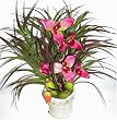 21" Cattleya Orchid and Grass Arrangement