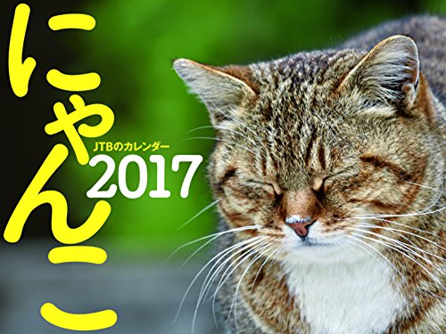 JTBのカレンダー にゃんこ 2017 (諸書籍) JTBのカレンダー にゃんこ 2017 (諸書籍)