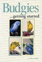 Budgies as a Hobby (Save Our Planet)
