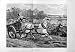 1877 Noble Fine Art Lady Horse Cart Hunting Hounds Dogs