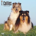 Collies 2014 Square 12x12