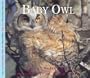 Baby Owl (Nature Babies)