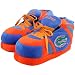 Florida Gators Royal Blue Sneaker Slipper