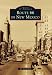 Route 66 in New Mexico (Images of America) (Images of America (Arcadia Publishing))