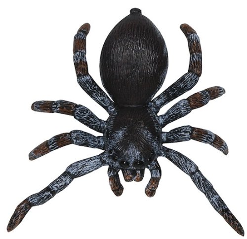 Safari - Hidden Kingdom - Jumping Spider