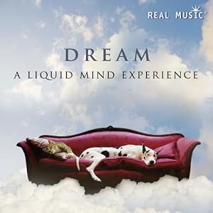 Liquid Mind - Dream - A Liquid Mind Experience
