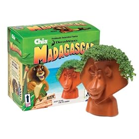 Chia Alex Handmade Decorative Planter, Madagascar, 1 Kit