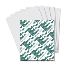 Wausau Paper Vellum Bristol Cover Stock, 250-Sheets, Gray, 8.5 x 11-Inch (82341)