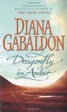 Dragonfly in Amber Medium