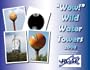 "Wow!" Wild Water Towers