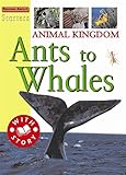 Animal kingdom : ants to whales