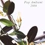 Pop Ambient 2008