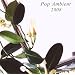 Pop Ambient 2008