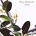 Pop Ambient 2008