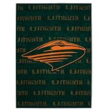 Miami Hurricanes Oversized Throw - 60x80