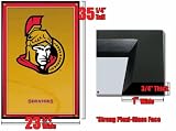 Framed Ottawa Senators Poster Team Orange Logo Fr4390