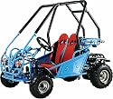 Go Kart 2 Seater 110cc