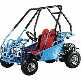Go Kart 2 Seater 150cc by