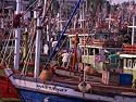 Fishing Vessels in Southern Thai Port, Thailand Photographic Poster Print by Chris Mellor, 16x12