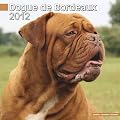 Kalender 2012 Bordeauxdogge - Dogue de Bordeaux