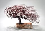 Bonsai Boys Wire Bonsai Tree Sculpture Windswept Style 51EzL5pf8aL. SL160 Bonsai Boys Wire Bonsai Tree Sculpture Windswept Style