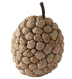 Lazy Susan Dried Brain Fruit, Large