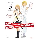 WORKING!! 3 【完全生産限定版】 [DVD]