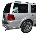 Michigan State Spartans Team Window Decal